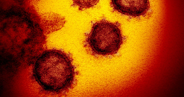 Coronavirus: tot ce trebuie sa stii despre epidemie, transmitere, simptome,