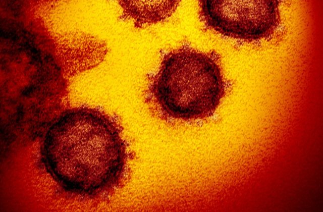 Coronavirus: tot ce trebuie sa stii despre epidemie, transmitere, simptome, preventie si nu numai