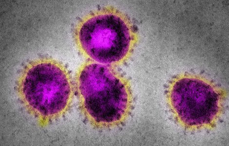 Senator PNL, suspect de coronavirus. Barbatul s-a autoizolat