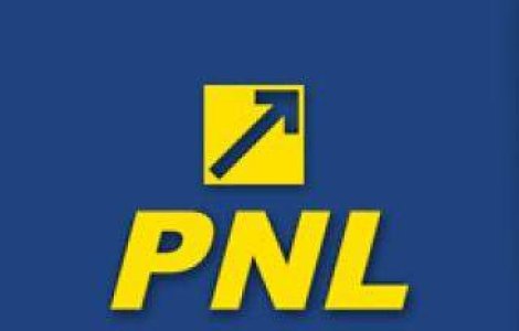 Conducerea PNL a votat lista ministrilor propusi pentru Cabinetul Ponta