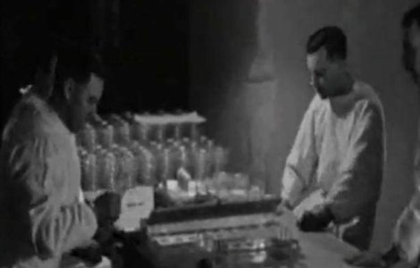 Experimente militare in UK: Mii de animale, aruncate in aer si infectate cu antrax