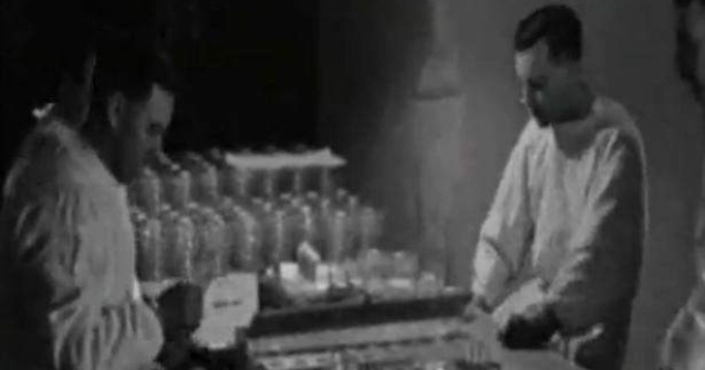 Experimente militare in UK: Mii de animale, aruncate in aer si infectate cu antrax