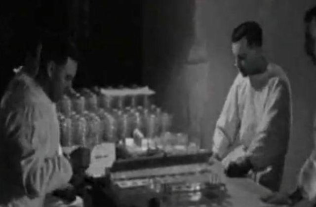 Experimente militare in UK: Mii de animale, aruncate in aer si infectate cu antrax