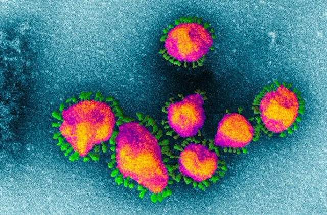 Politist de frontiera, infectat cu coronavirus. A mers sa se distreze in trei cluburi