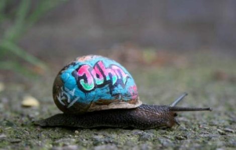 30 de graffiti superbe!