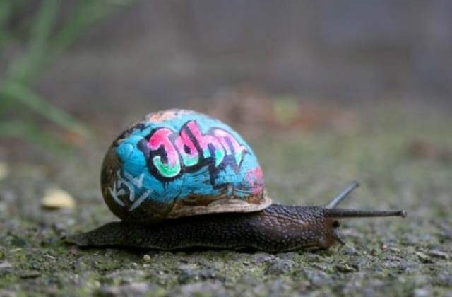 30 de graffiti superbe!