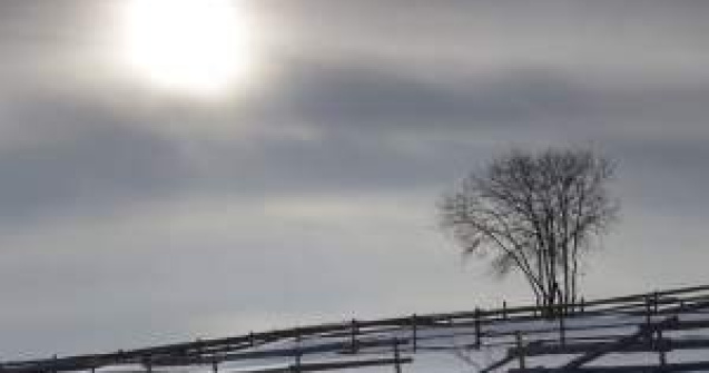 Meteo: Ger si ninsori slabe in weekend