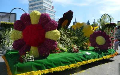 Simfonia Lalelelor,...