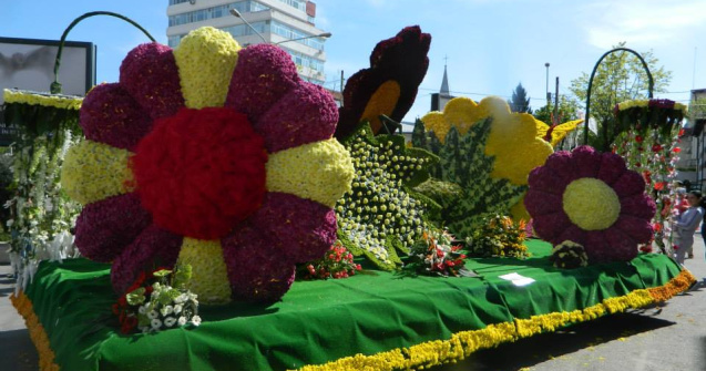 Simfonia Lalelelor, suspendata pentru prima data in 43 de ani