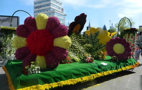 Simfonia Lalelelor, suspendata pentru prima data in 43 de ani