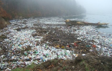 MInistrul Mediului a reclamat posibile arderi de deseurilor in zona Bucurestiulu