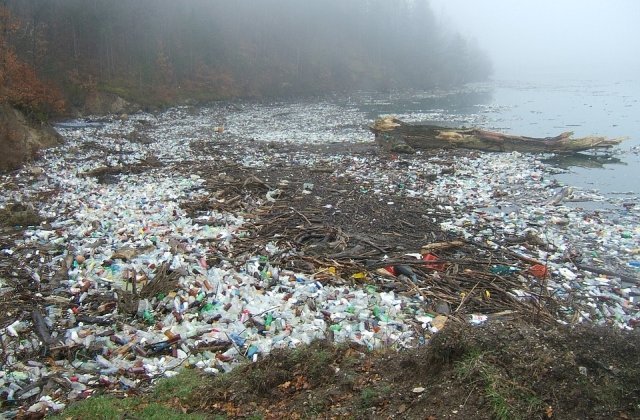 MInistrul Mediului a reclamat posibile arderi necontrolate de deseurilor in zona Bucurestiului