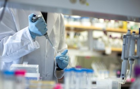 Descoperire cruciala: coronavirusul este depistat si de aparatele pentru diagnosticarea pestei porcine