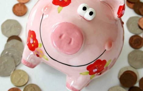  Top  Cine profita de pe urma gripei porcine?