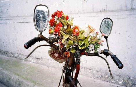 VIDEO: Cele mai bune orase europene de dat cu bicicleta