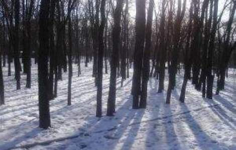 Din cauza conditiilor meteo din Bulgaria, circulatia vehiculelor este restrictionata