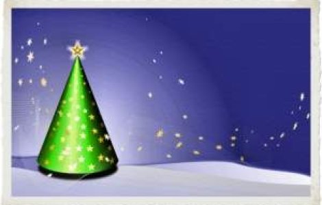 Peste 11 mii de brazi, confiscati de Craciun