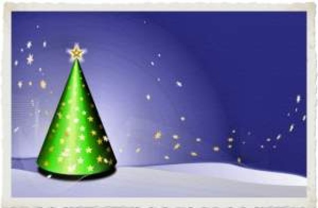 Peste 11 mii de brazi, confiscati de Craciun