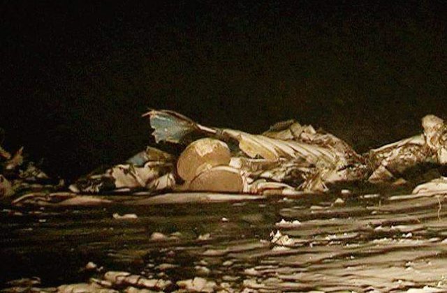 Avion militar, prabusit in Kazahstan: 27 de morti