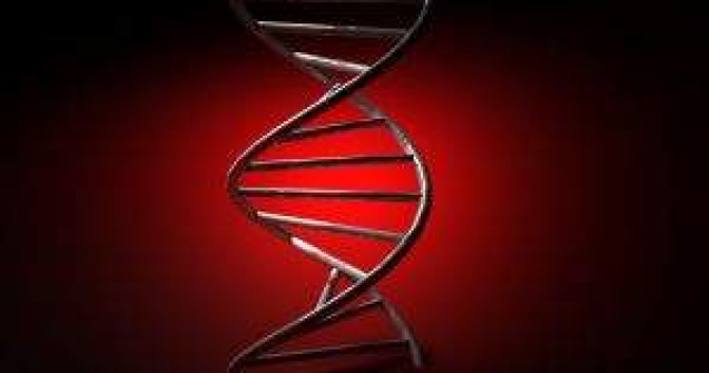 Cercetatorii vor studia ADN-ul atacatorului de la Sandy Hook