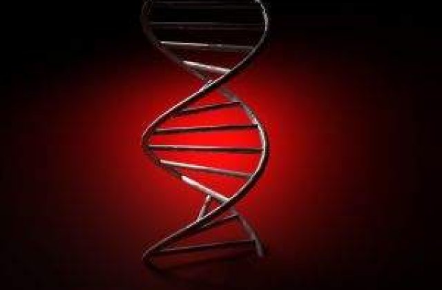 Cercetatorii vor studia ADN-ul atacatorului de la Sandy Hook