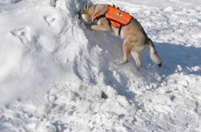 Ninsori abundente in SUA: Cel putin sapte morti si 1.500 de zboruri anulate