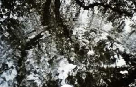 Sfarsit de decembrie cu temperaturi ridicate si ploi. Prognoza meteo pe trei zile