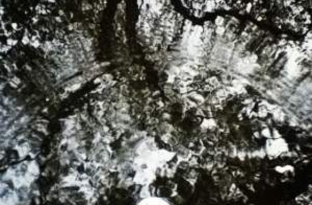 Sfarsit de decembrie cu temperaturi ridicate si ploi. Prognoza meteo pe trei zile