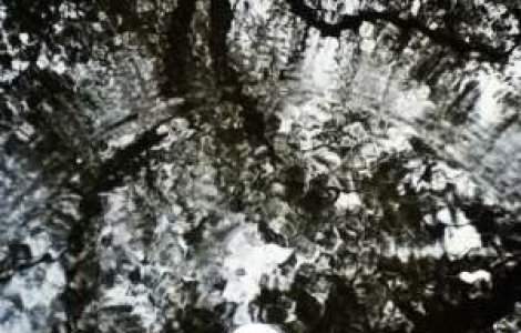 Sfarsit de decembrie cu temperaturi ridicate si ploi. Prognoza meteo pe trei zile