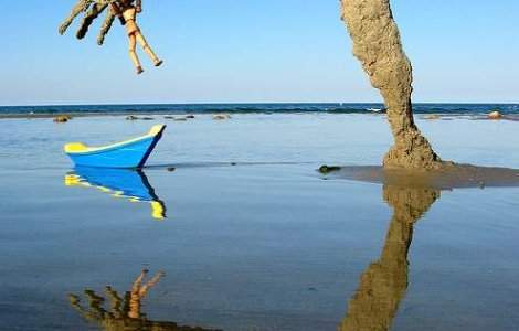 Monstru pe o plaja din Marea Britanie