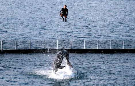 Britanicii nu cunosc spiritul de aventura