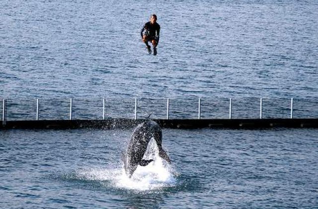 Britanicii nu cunosc spiritul de aventura