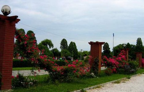 Oprescu vrea sa umple parcurile cu biblioteci, panouri in Braille si pasari exotice