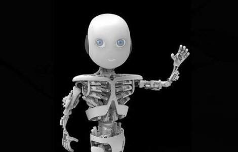 Barza este pe drum! In martie se va naste "Roboy", primul baietel robot