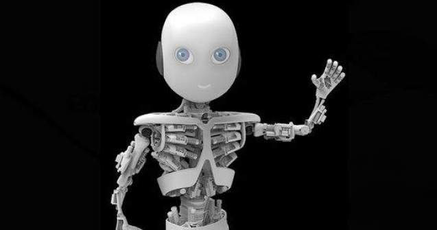 Barza este pe drum! In martie se va naste "Roboy", primul baietel robot