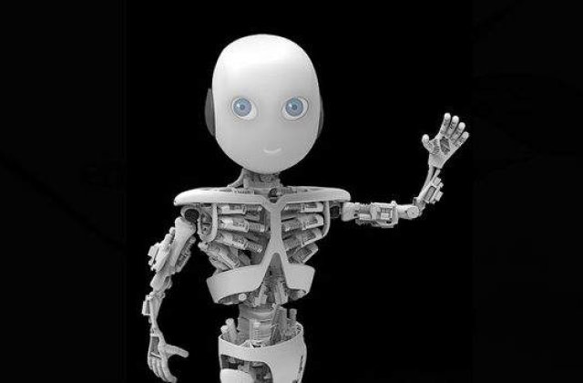 Barza este pe drum! In martie se va naste "Roboy", primul baietel robot