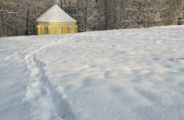 Vestul Bulgariei, sub cod galben de ninsori puternice