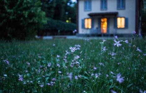 Ce măsuri trebuie să iei dacă te decizi să pleci câteva zile acasă la ai tăi