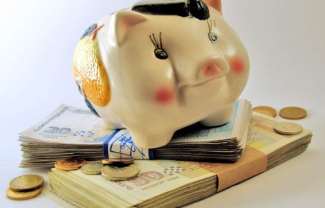 Nemuritorul: Impozitul forfetar ar putea fi aplicat si la anul