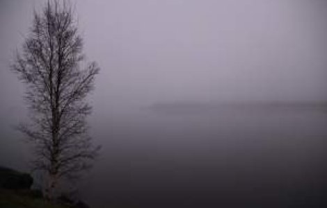 ANM: Cod GALBEN de ceata in mai multe judete din sudul si estul tarii