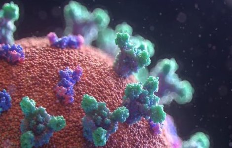 Coronavirus România: 263 noi cazuri în doar 24 de ore