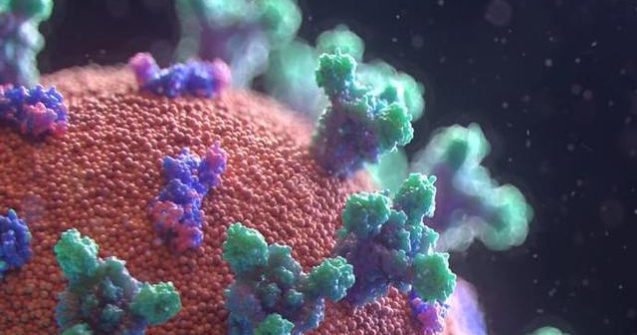 Coronavirus România: 263 noi cazuri în doar 24 de ore
