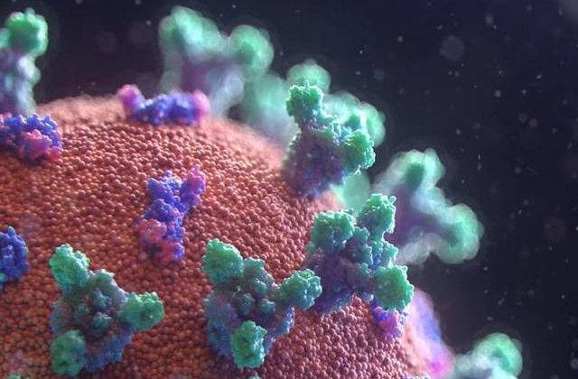 Coronavirus România: 263 noi cazuri în doar 24 de ore. Cea mai mare creștere de până acum