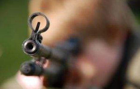 Merita 8 ani de inchisoare? Un bucurestean a impuscat un ciobanesc carpatin