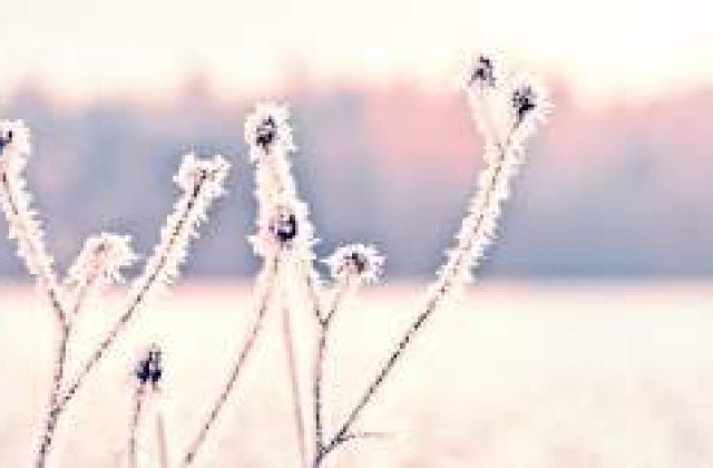 Meteo: Cum va fi vremea in weekend?