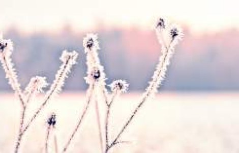 Meteo: Cum va fi vremea in weekend?