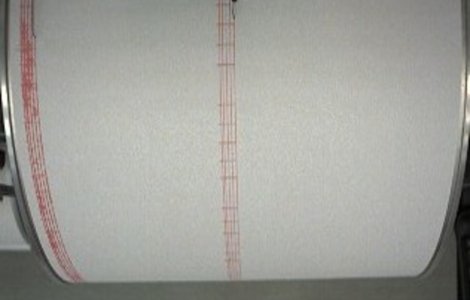 Un cutremur s-a produs azi în zona Vrancea. Ce magnitudine a avut