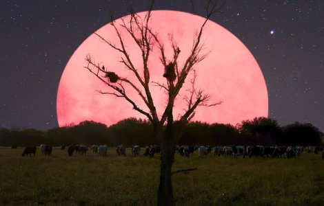 SuperLuna roz: Când te poți bucura de cea mai strălucitoare Lună a anului