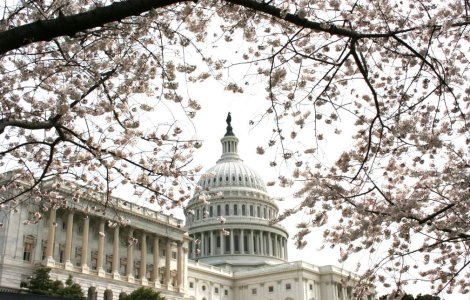 Din seria "revolutia" media care ne doare: Editia saptamanala a Washington Post dispare