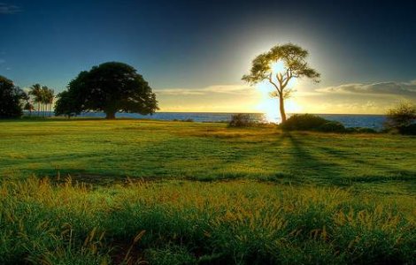 Bolnavii cronici vor beneficia in continuare de tratament gratuit